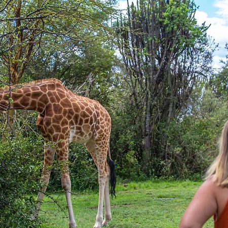 Mbweha Camp Lake Nakuru Elmenteita Dış mekan fotoğraf