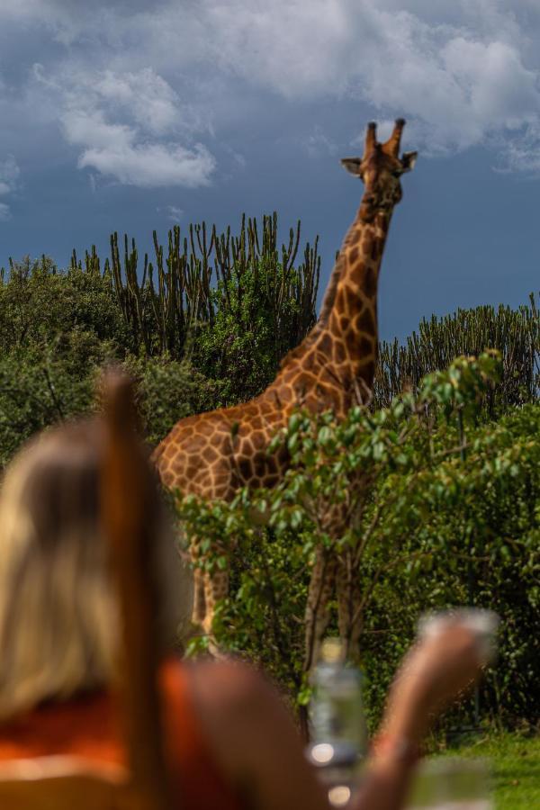 Mbweha Camp Lake Nakuru Elmenteita Dış mekan fotoğraf