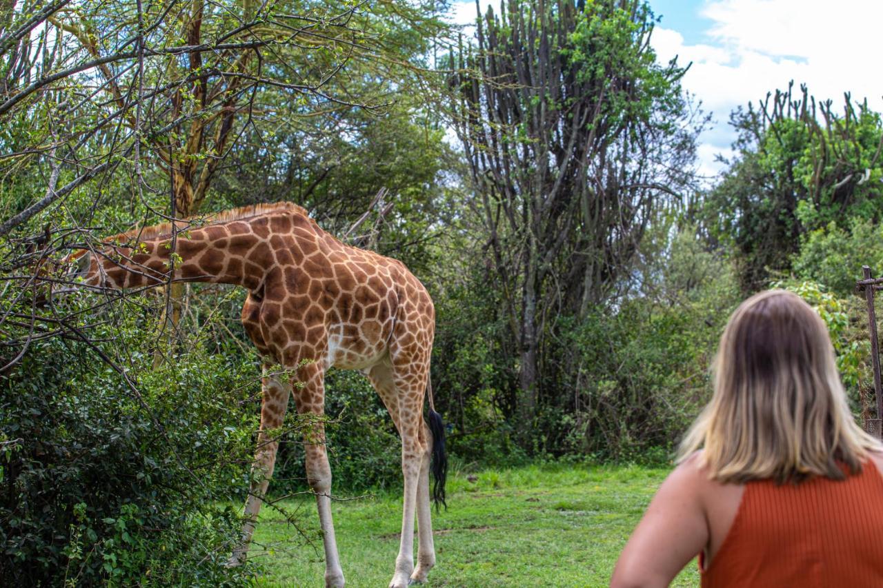 Mbweha Camp Lake Nakuru Elmenteita Dış mekan fotoğraf