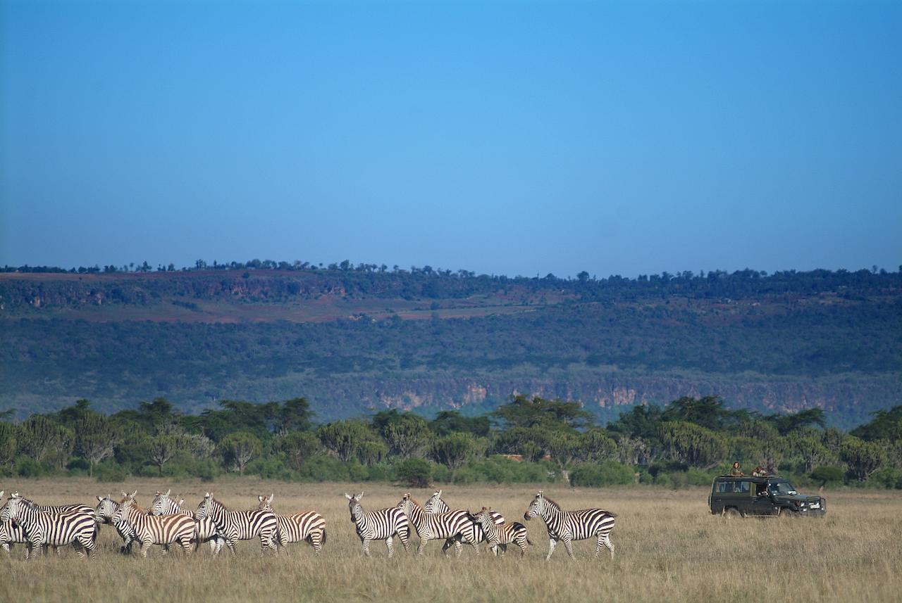 Mbweha Camp Lake Nakuru Elmenteita Dış mekan fotoğraf