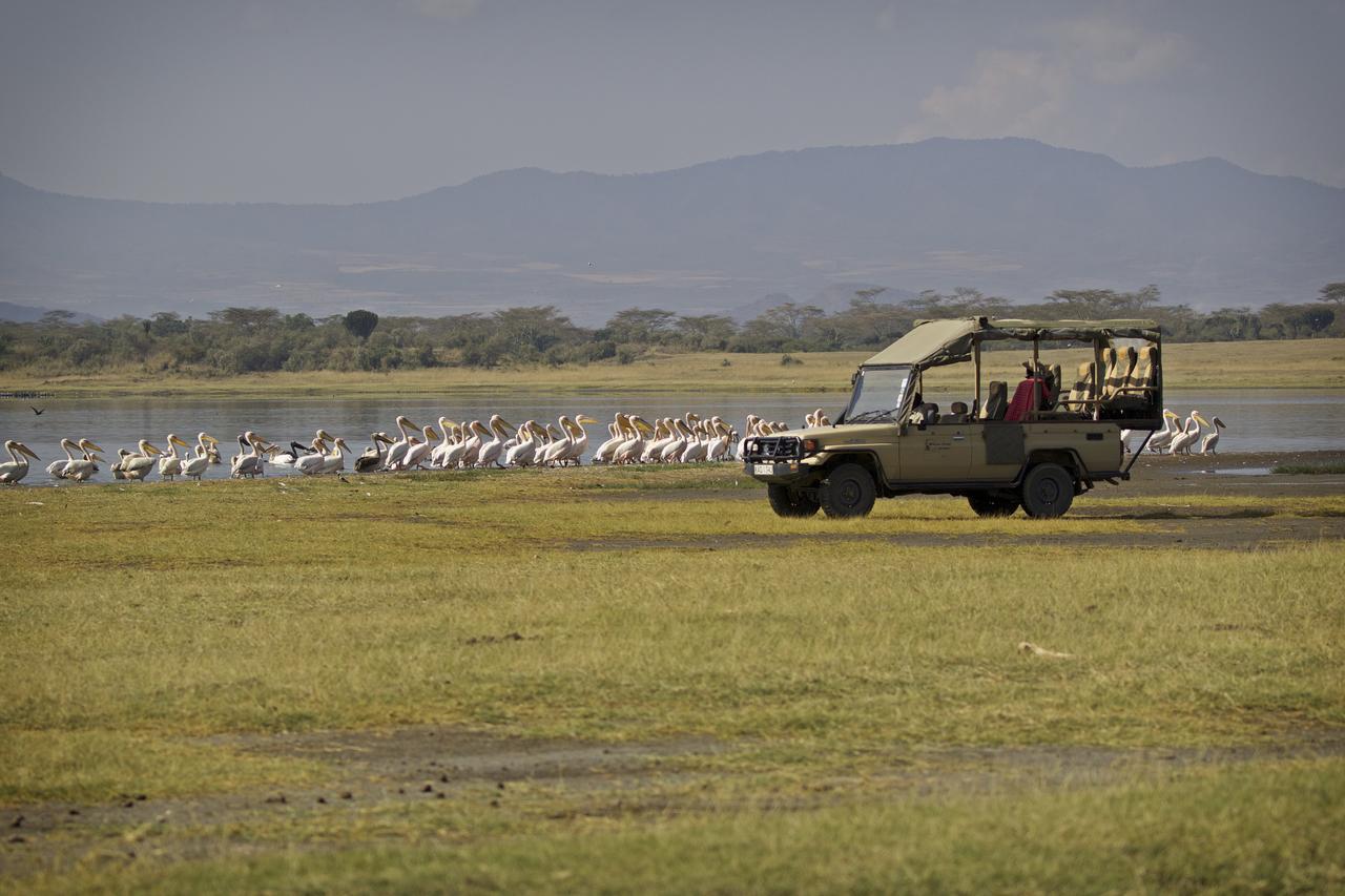 Mbweha Camp Lake Nakuru Elmenteita Dış mekan fotoğraf