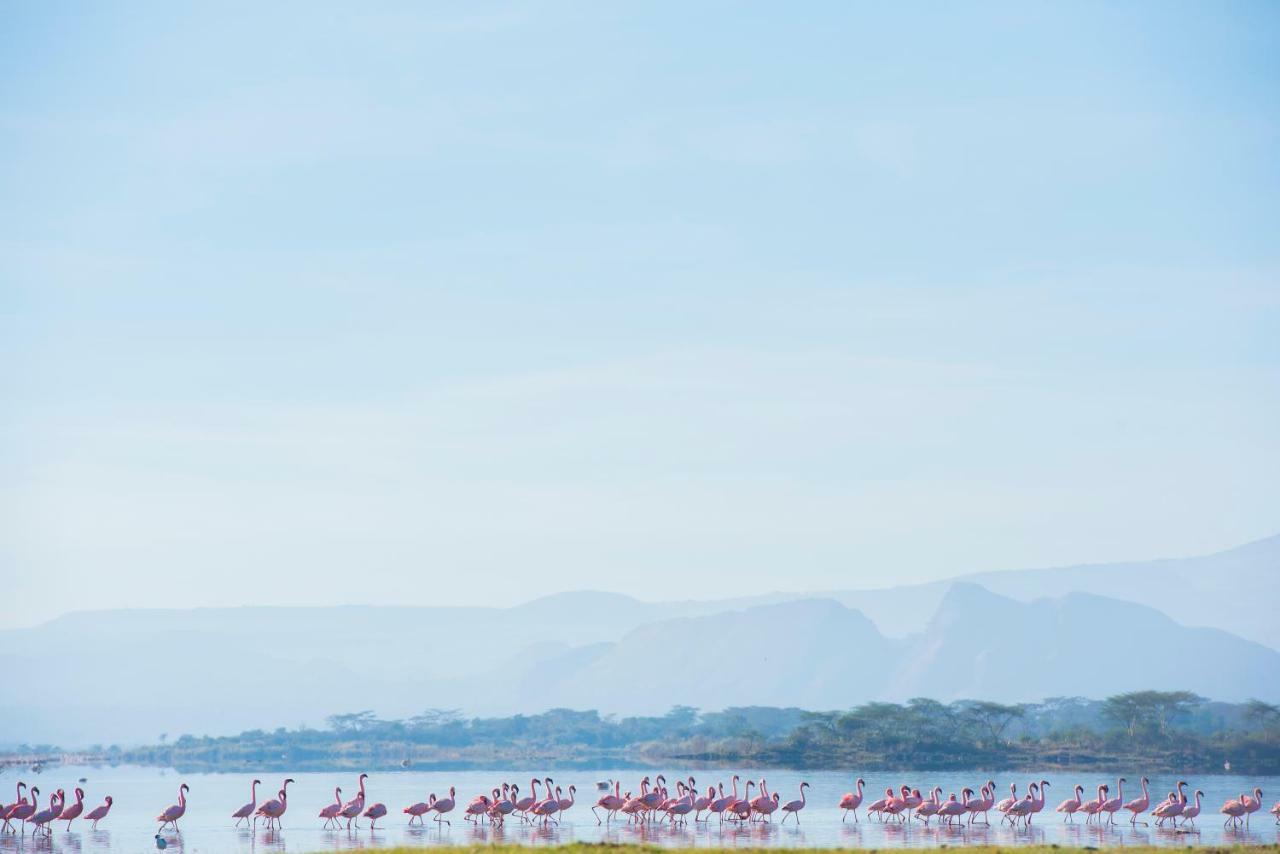 Mbweha Camp Lake Nakuru Elmenteita Dış mekan fotoğraf